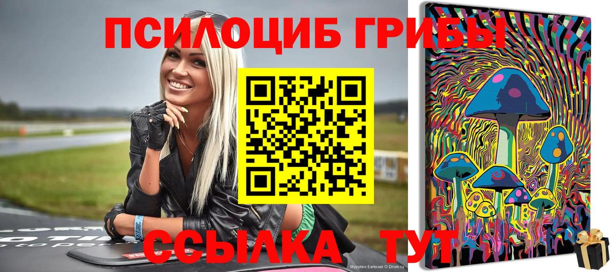 Белогорск  где купить   Вход с VPN  Псилоцибиновые грибы прущие грибы 