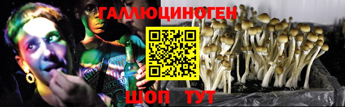 Галлюциногенные грибы MAGIC MUSHROOMS Белогорск